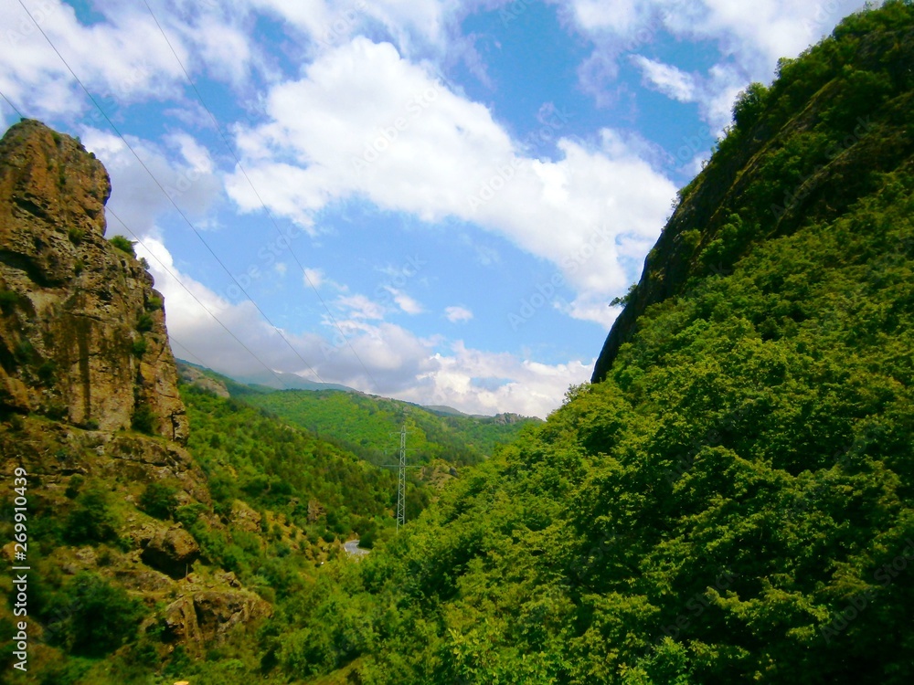 Obraz premium OLYMPUS DIGITAL CAMERA