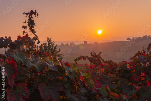 The sun is going down behind the Modena hill during the autumn. Those hills are full of Lambrusco vineyards