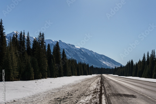 Road Trip in the Rocky Mountains on banff to windermere highway.