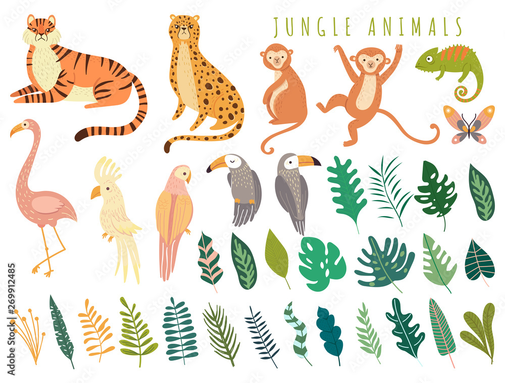 Jungle wild animal and exotic bird with exotic tropical leaves. Set with  Isolated vector of tiger, monkey, leopard, chameleon, cockatoo, flamingos,  parrot, cockatoo, toucan. Cartoon illustration Stock Vector | Adobe Stock