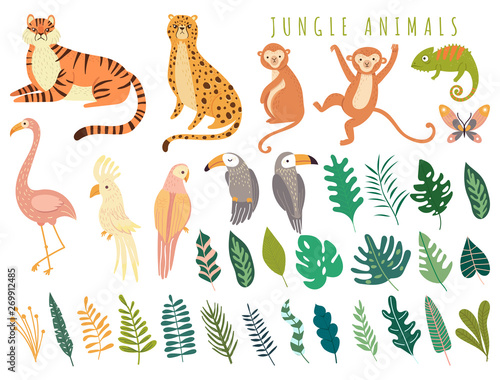 Jungle wild animal and exotic bird with exotic tropical leaves. Set with Isolated vector of tiger, monkey, leopard, chameleon, cockatoo, flamingos, parrot, cockatoo, toucan. Cartoon illustration