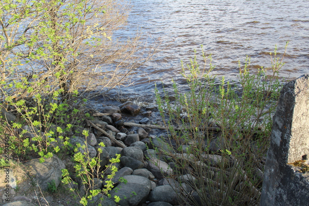 Obraz premium shore of the lake with stones
