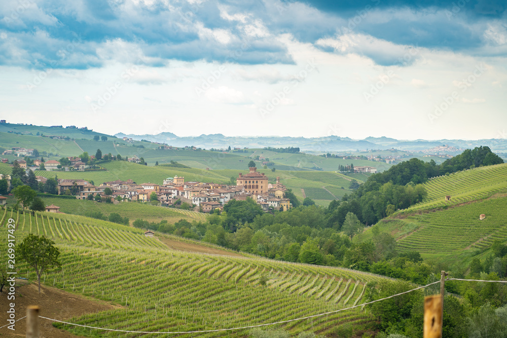 View of Barolo town (Piedmont, Italy) panorama, the medieval castle and the vineyards. Barolo is the main village of the Langhe wine region.
