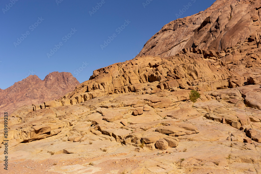 Fototapeta premium Egypt. Mount Sinai in the morning at sunrise. (Mount Horeb, Gabal Musa, Moses Mount). Pilgrimage place and famous touristic destination.