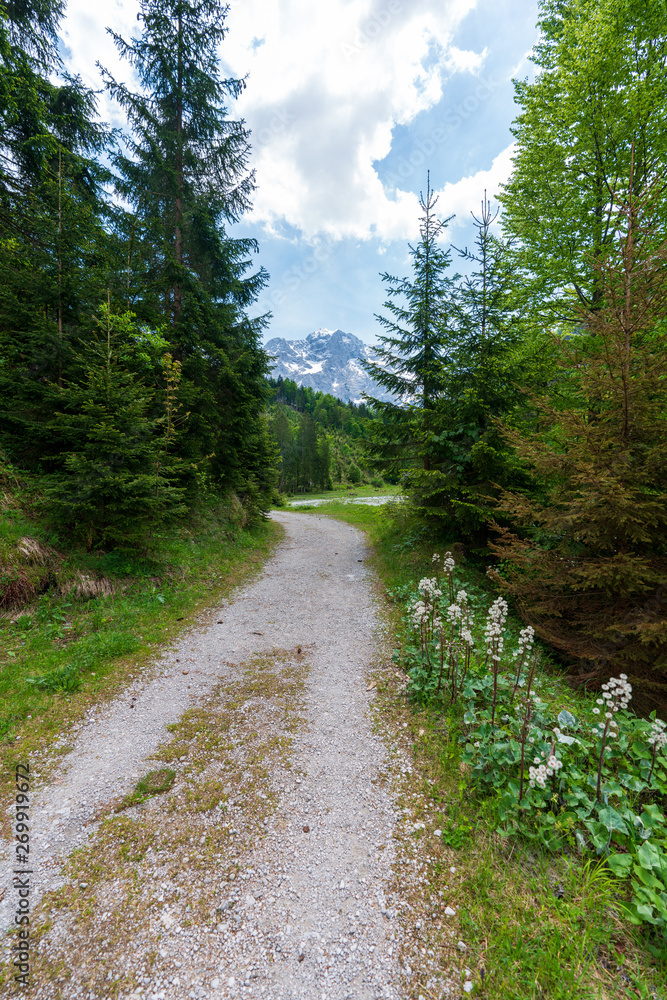 Obraz premium Wanderweg in der Hetzau im Almtal mit totem Gebirge