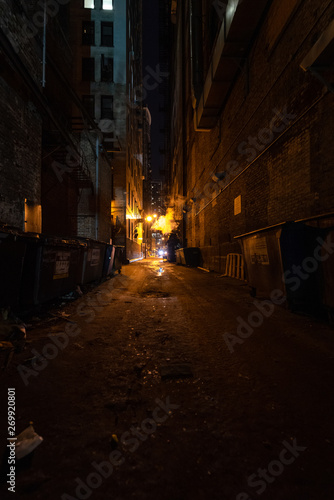 Chicago Alley