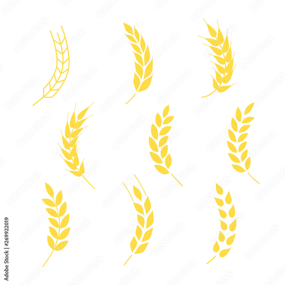Obraz premium Wheat grains of different shapes set. A set of icons ready to use in your design. Vector icons can be used on different backgrounds. EPS10.