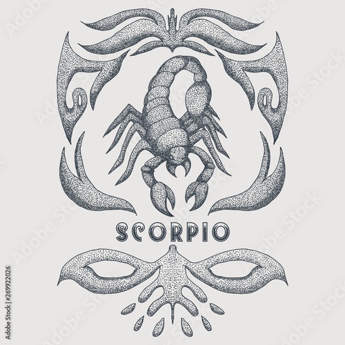 scorpio zodiac vintage Vector illustration