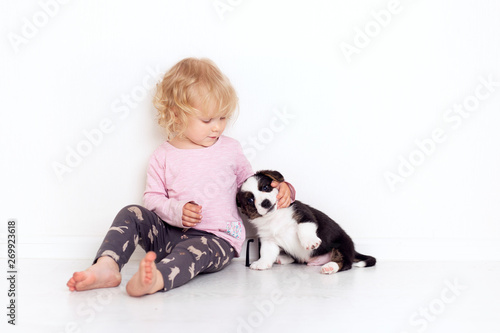 Portrait of a happy curly cute Caucasian little girl at home with a welsh corgi cardigan puppy playing on the floor in the room