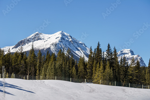 snow mountains peaks and forest landscape under sunlight early spring as background. © olegmayorov