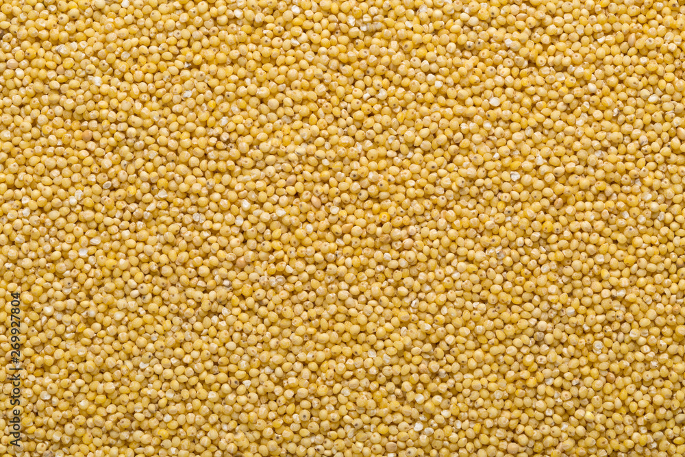 Golden millet, a gluten free grain seed, frame filling background