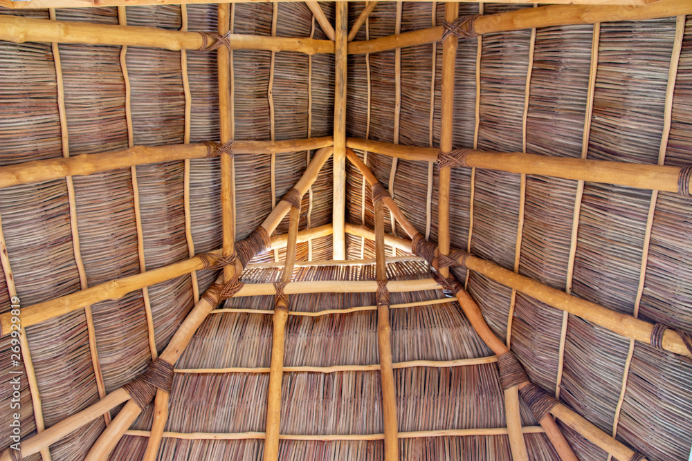 Inside of Palapa roof