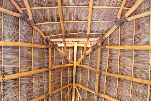 Palapa roof view from inside photo