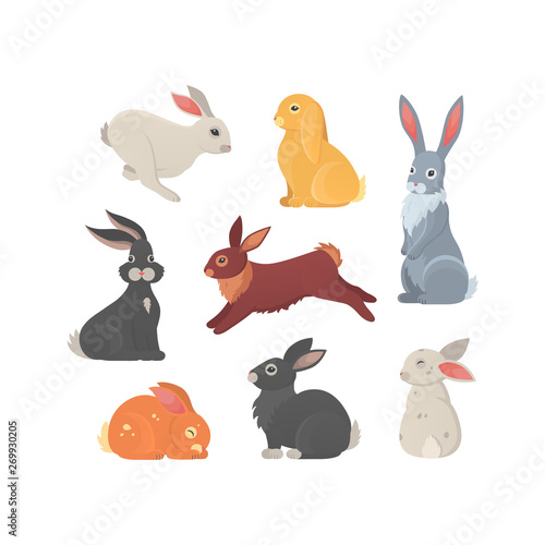 Different breeds of cute rabbits vector illustration.