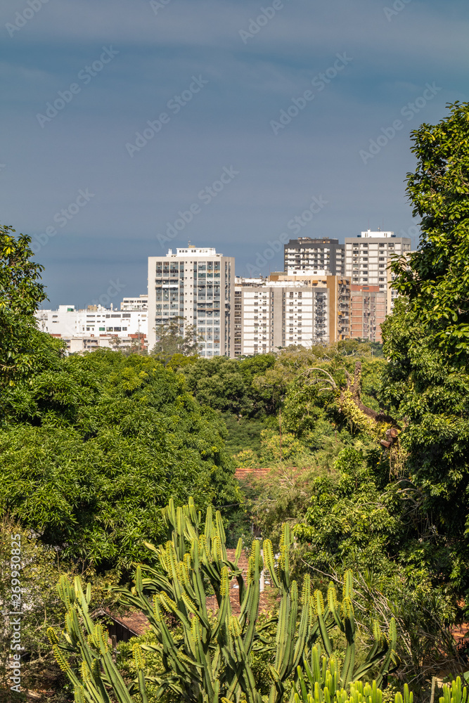 The lush vegetation of the Botanical Garden of Rio de Janeiro in the Brazilian autumn.