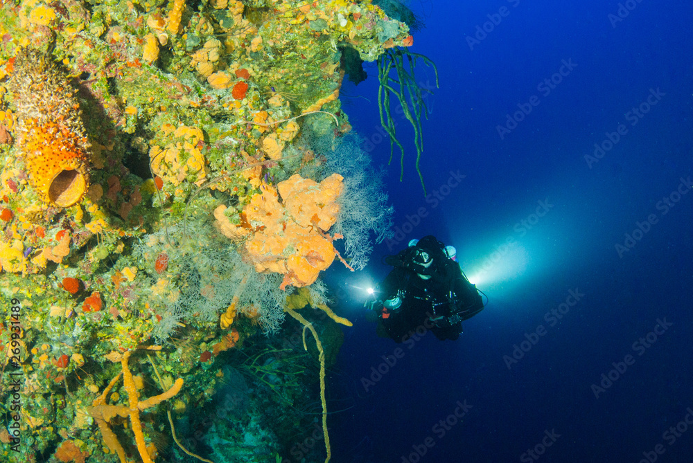 Silhouette shots of scuba divers using rebreathers to explore sponge