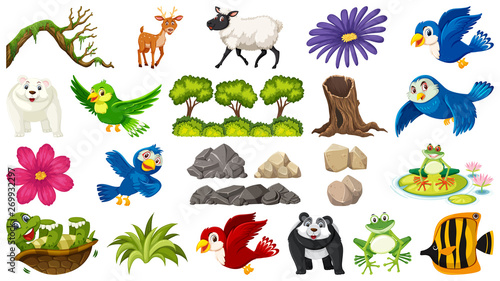 Set of animal and plant © brgfx