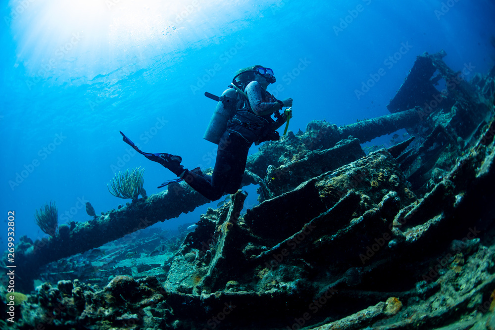custom made wallpaper toronto digitalA diver exploring the Rhone wreck