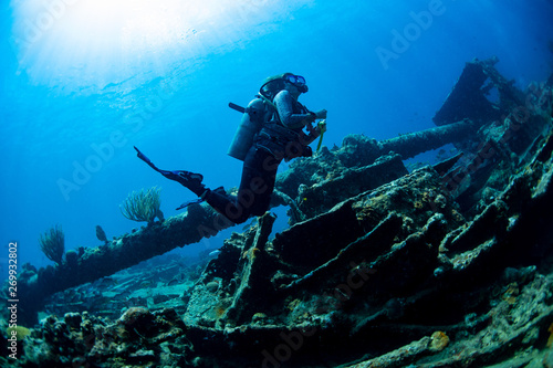 Fotografie, Obraz A diver exploring the Rhone wreck