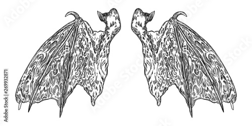 Hand drawn vintage etched woodcut fallen angel or vampire detailed wings. Dragon or gargoyle wings. Heraldic wings for tattoo and mascot design. Isolated sketch collection. Vector.