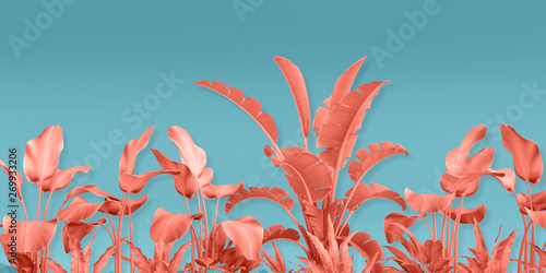 3d rendering, ping paper art, tropical palm leaves, botanical background, pastel colors, tropical nature, foliage