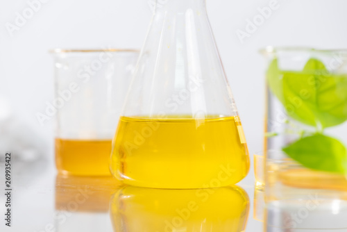 The scientist test the natu...