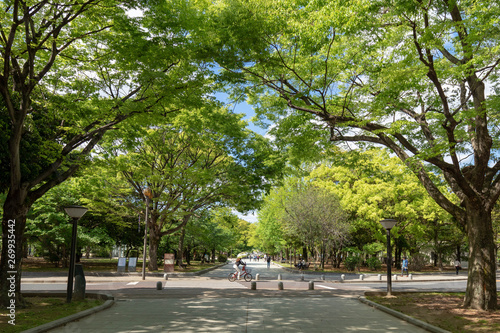 平和記念公園