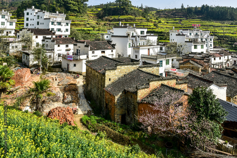 Spring of Wuyuan Ridge in China - March 22, 2018, a beautiful mountain village with flowers blooming, was photographed in