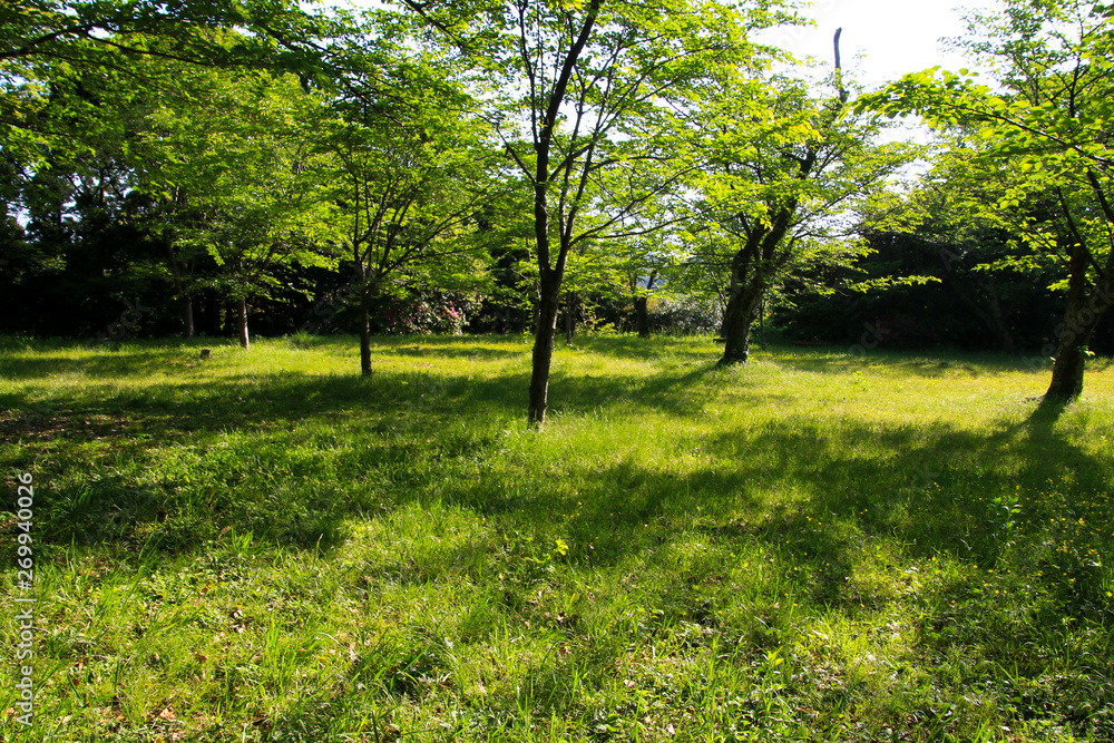 浜田城跡 浜田城跡