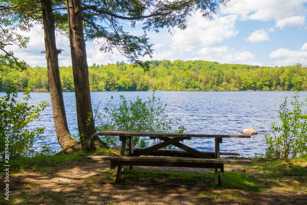 Picnic table on the shore