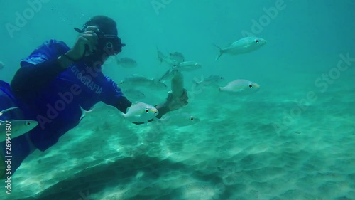 Wallpaper Mural UNDERWATER SLOW MOTION: Detail of man taking photos swimming with various fish Torontodigital.ca