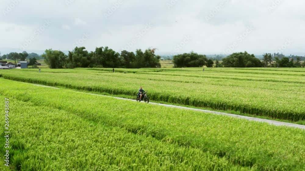 Motorcycle driver riding on a the rice fields. Outdoor shot, countryside landscape. Travel and sport photography. Speed and freedom concept. Motorcycle driver riding on a the rice fields. Outdoor shot, countryside landscape. Travel and sport photography. Speed and freedom concept.