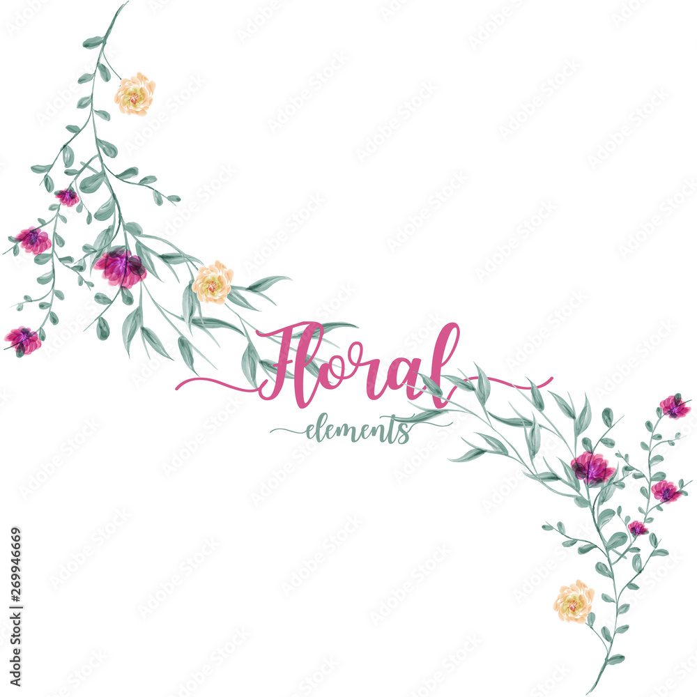 leaves and flowers drawing watercolor.Vector floral