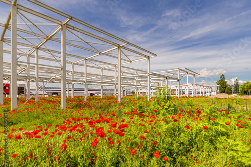 The metal frame of a warehouse built in a blossoming field of poppies.