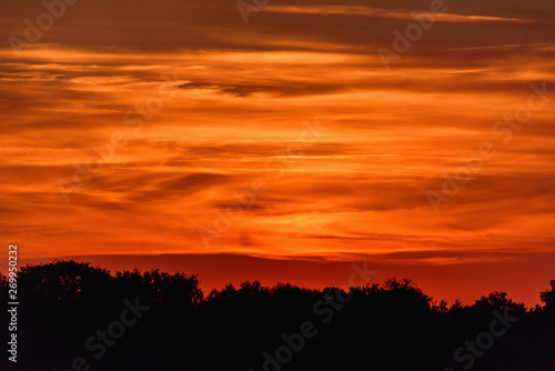 Beautiful color dramatic sunset. Evening sky over the silhouettes of the treetops.