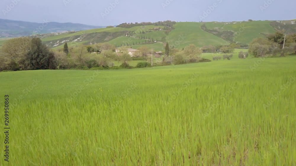 hilly landscape in the region Toscana in Italy hilly landscape in the region Toscana in Italy