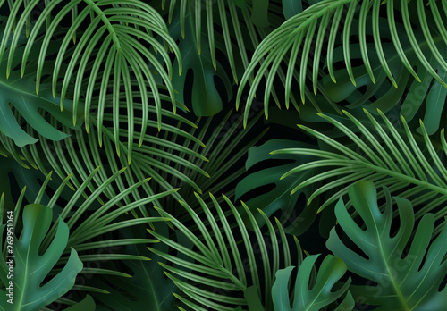 Branch palm realistic. Leaves and branches of palm trees. Tropical leaf background. Green foliage, tropic leaves pattern. vector illustration