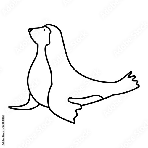 circus seal marine animal vector illustration