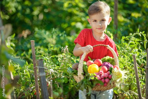 A child with vegetables in the garden 
