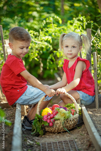 A child with vegetables in the garden 