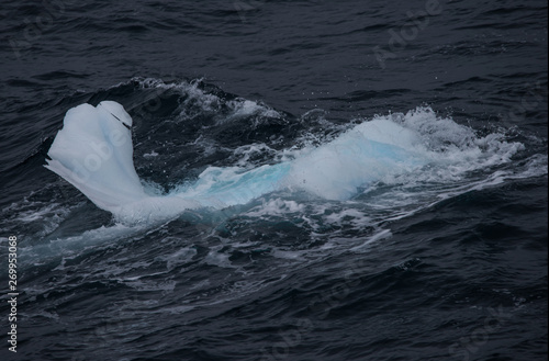 Iceberg
