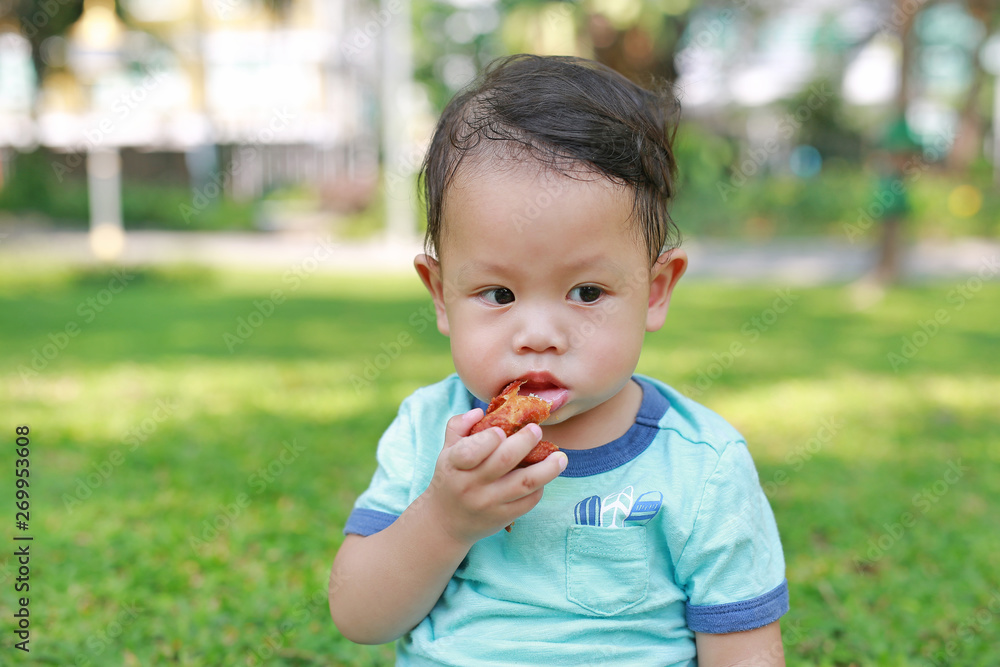 Asian baby boy enjoy eating fried chicken in the green garden outdoor. Asian baby boy enjoy eating fried chicken in the green garden outdoor.