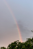 Rainbow in the sky after rain.