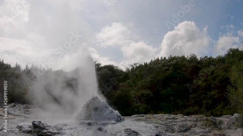 Eruption Lady Knox Geyser in Rotoroa New Zealand. Static, Wide Angle photo