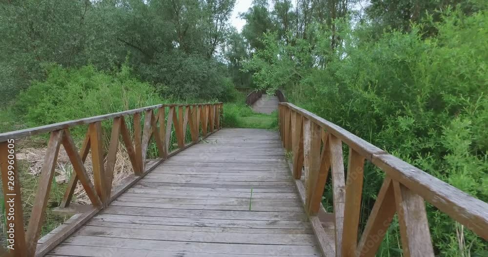 The route, path in nature, swamp, made from wooden boards and green surroundings. The route, path in nature, swamp, made from wooden boards and green surroundings.