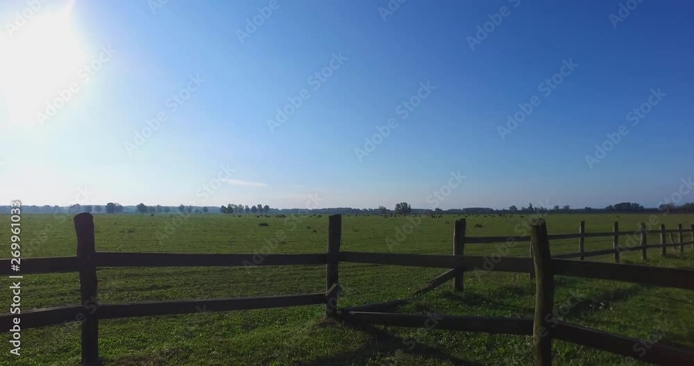 Pasture with cows in the distance, shoot thru gate. Pasture with cows in the distance, shoot thru gate.