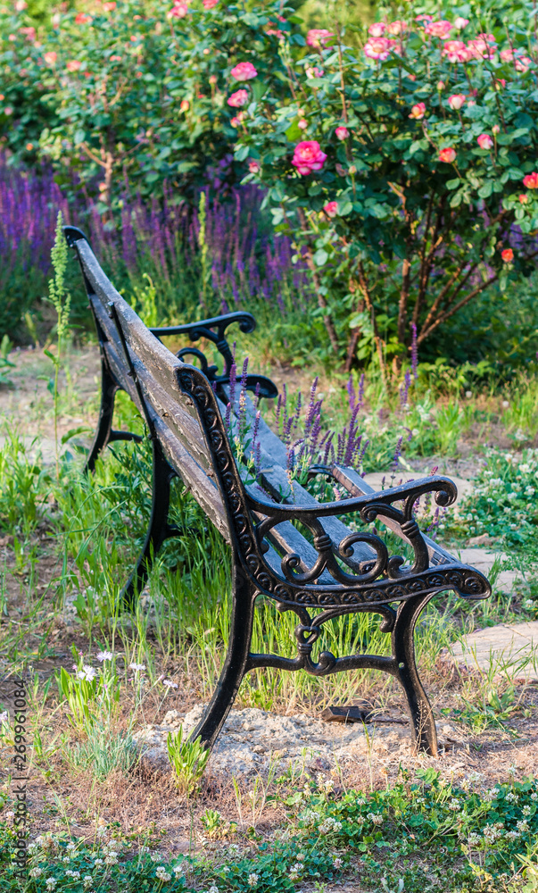 In the outdoor park, iron black benches and flowers,