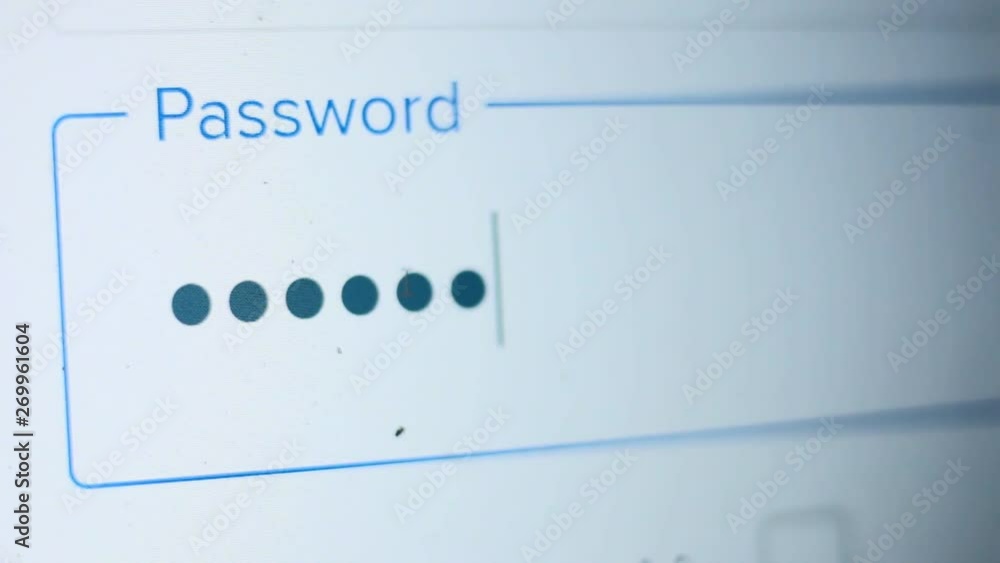 Enter the password for the website in the Internet. Encryption screen With flashing cursor. Enter the password for the website in the Internet. Encryption screen With flashing cursor.