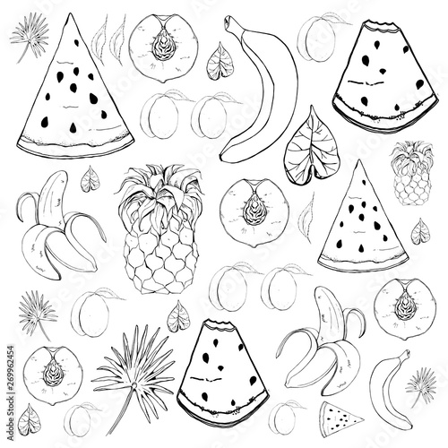 Fruit icons set in vector. Hand drawn illustration.