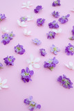 purple and white flowers on pink background